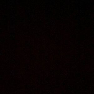 Meet your Posher, Evanie